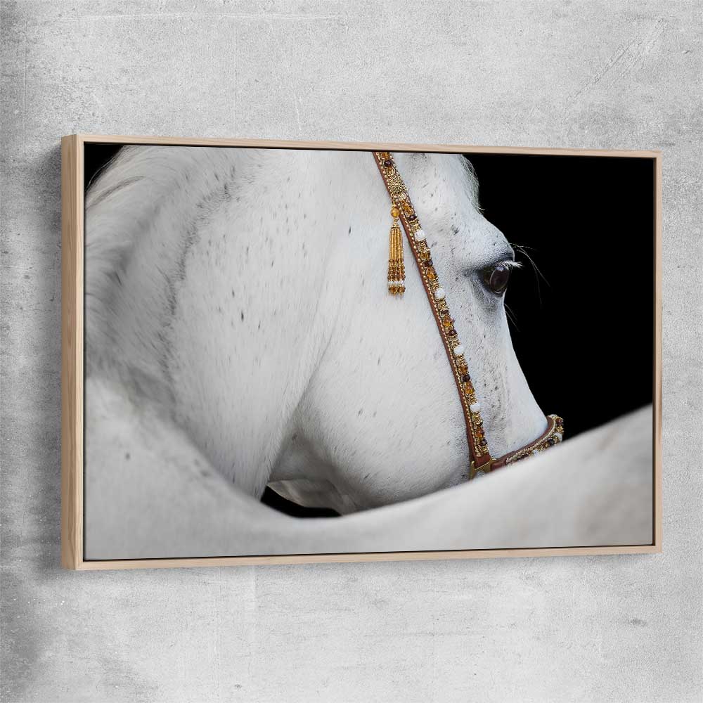 Animal wall art and canvas prints of Arabian Horse with raw oak framed canvas