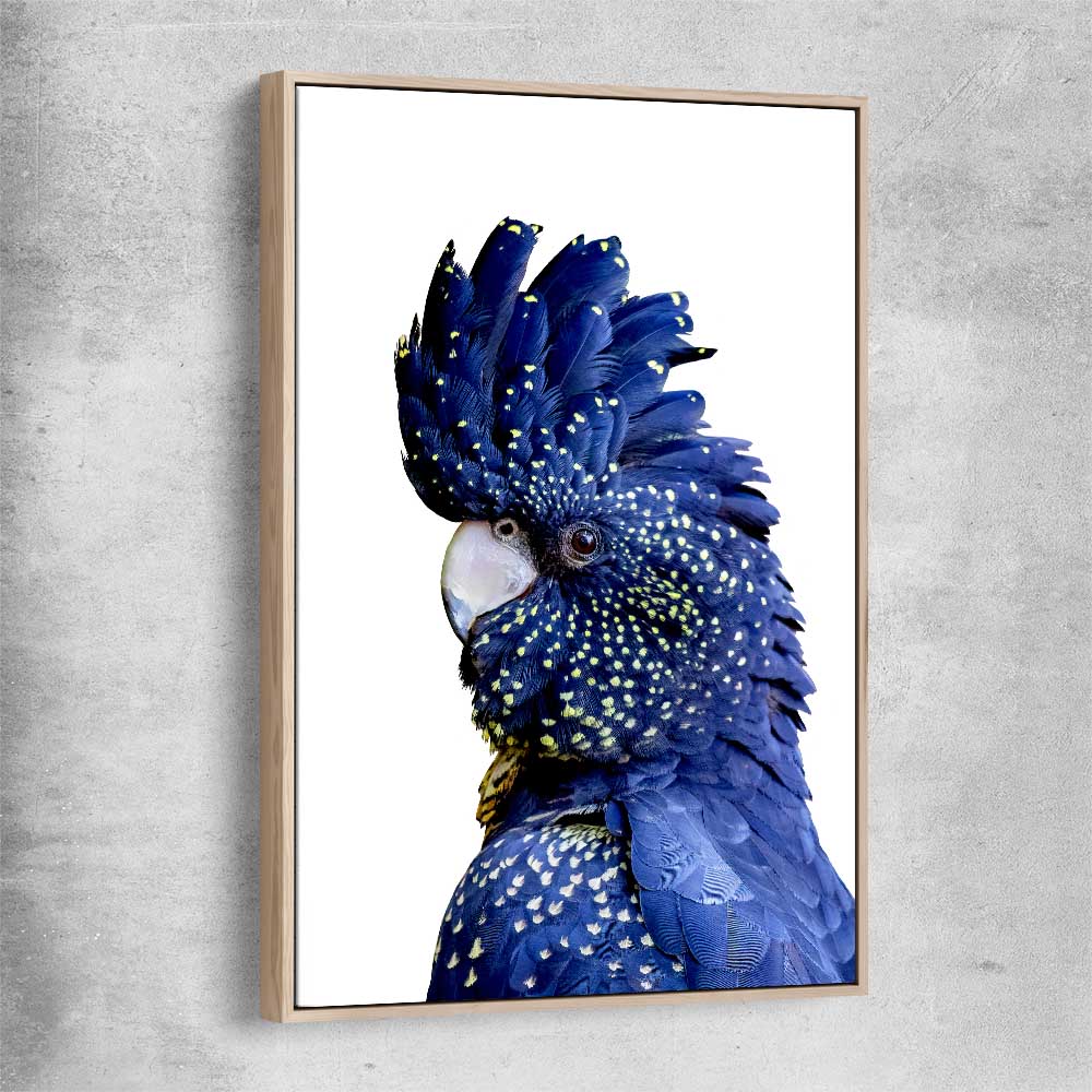 Animal wall art and canvas prints of Black Cockatoo One with raw oak framed canvas