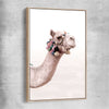 Animal wall art and canvas prints of Bohemian Camel with raw oak framed canvas