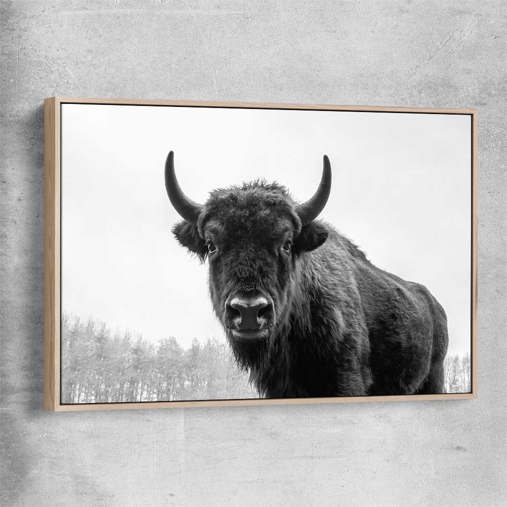 Animal wall art and canvas prints of Buffalo Gaze with raw oak framed canvas
