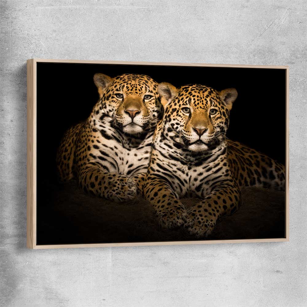Animal wall art and canvas prints of Calm Jaguar Couple with raw oak framed canvas
