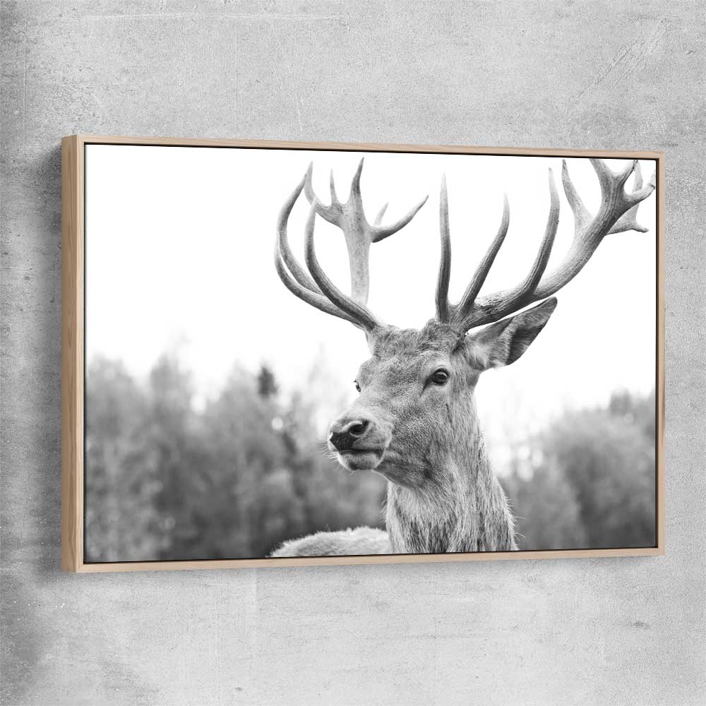 Animal wall art and canvas prints of Deer Focus with raw oak framed canvas