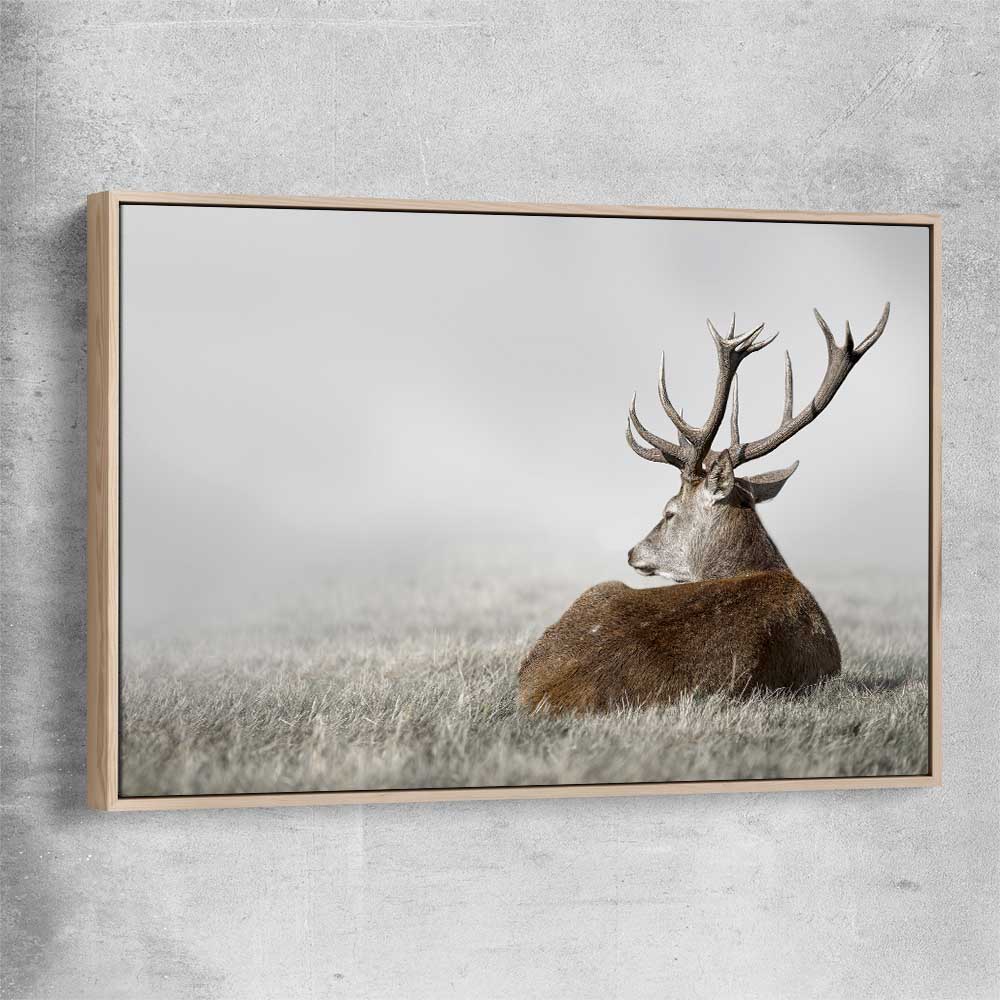Animal wall art and canvas prints of Deer Solitude with raw oak framed canvas