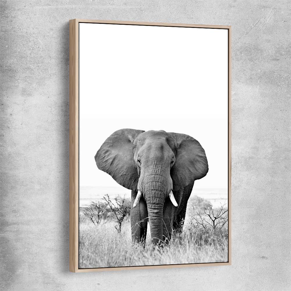 Animal wall art and canvas prints of Elephant Gaze with raw oak framed canvas