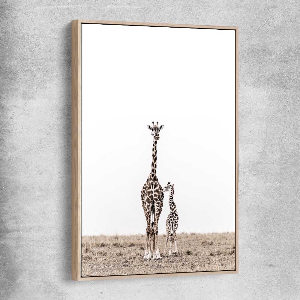 Animal wall art and canvas prints of Giraffe Affection with raw oak framed canvas
