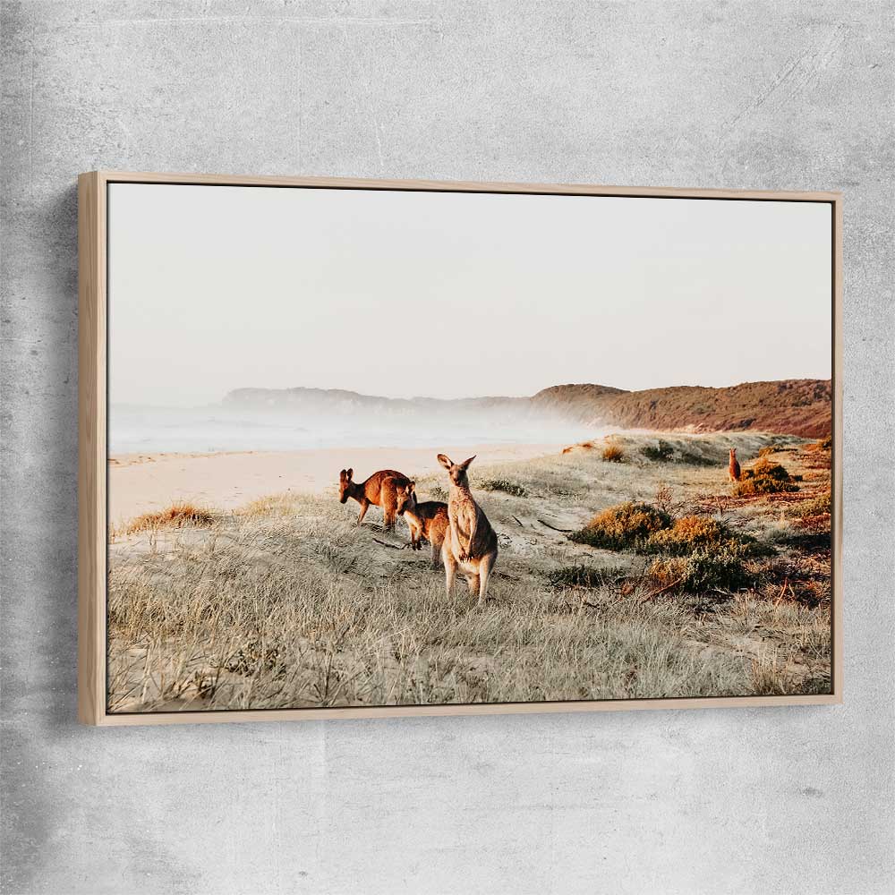Animal wall art and canvas prints of Grazing Kangaroos with raw oak framed canvas