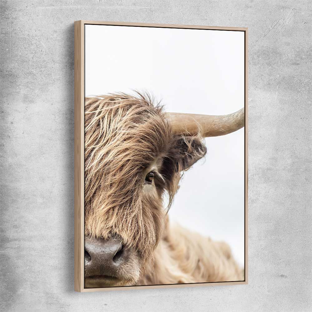 Animal wall art and canvas prints of Highland Graze with raw oak framed canvas
