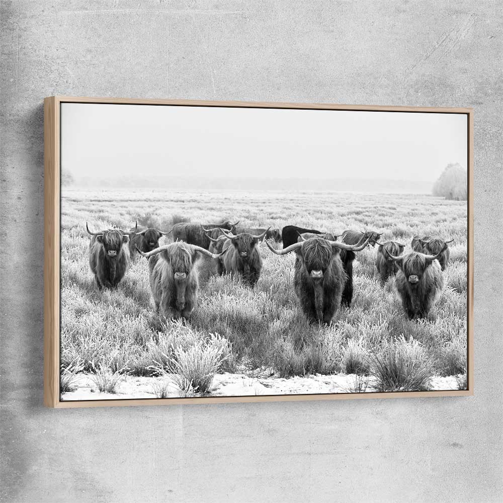 Animal wall art and canvas prints of Highland Monochrome with raw oak framed canvas