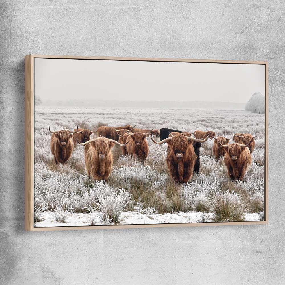 Animal wall art and canvas prints of Highland Ranges with raw oak framed canvas