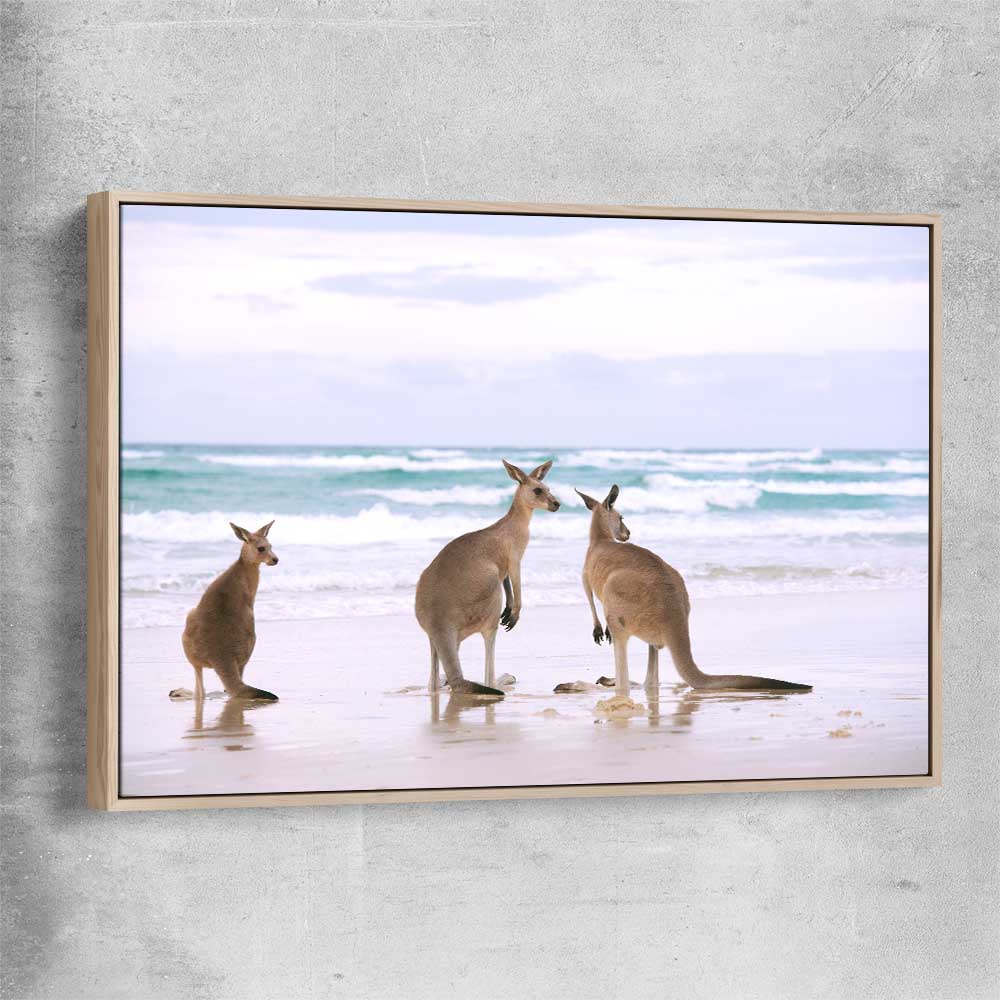 Animal wall art and canvas prints of Kangaroo Couple with raw oak framed canvas