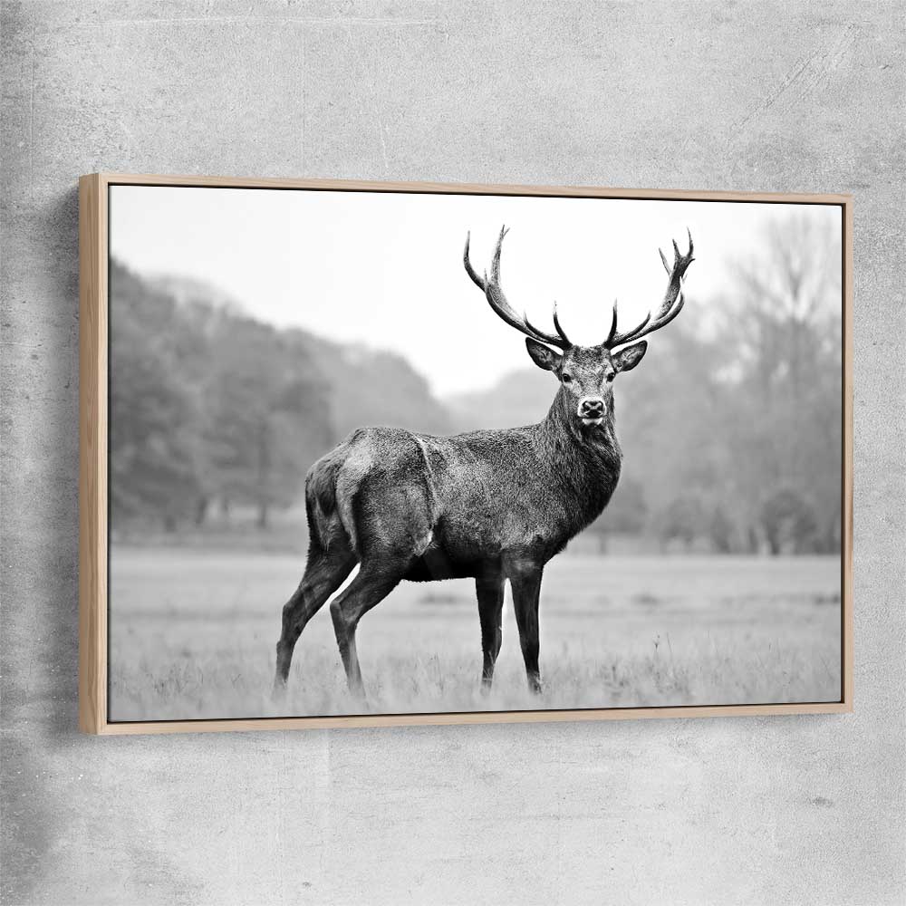 Animal wall art and canvas prints of Majestic Red Deer with raw oak framed canvas