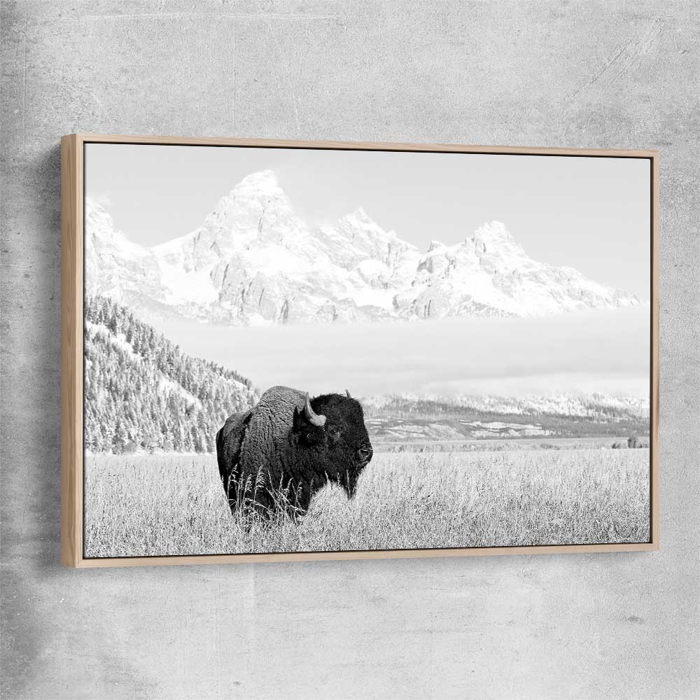 Animal wall art and canvas prints of Mountain Bison with raw oak framed canvas