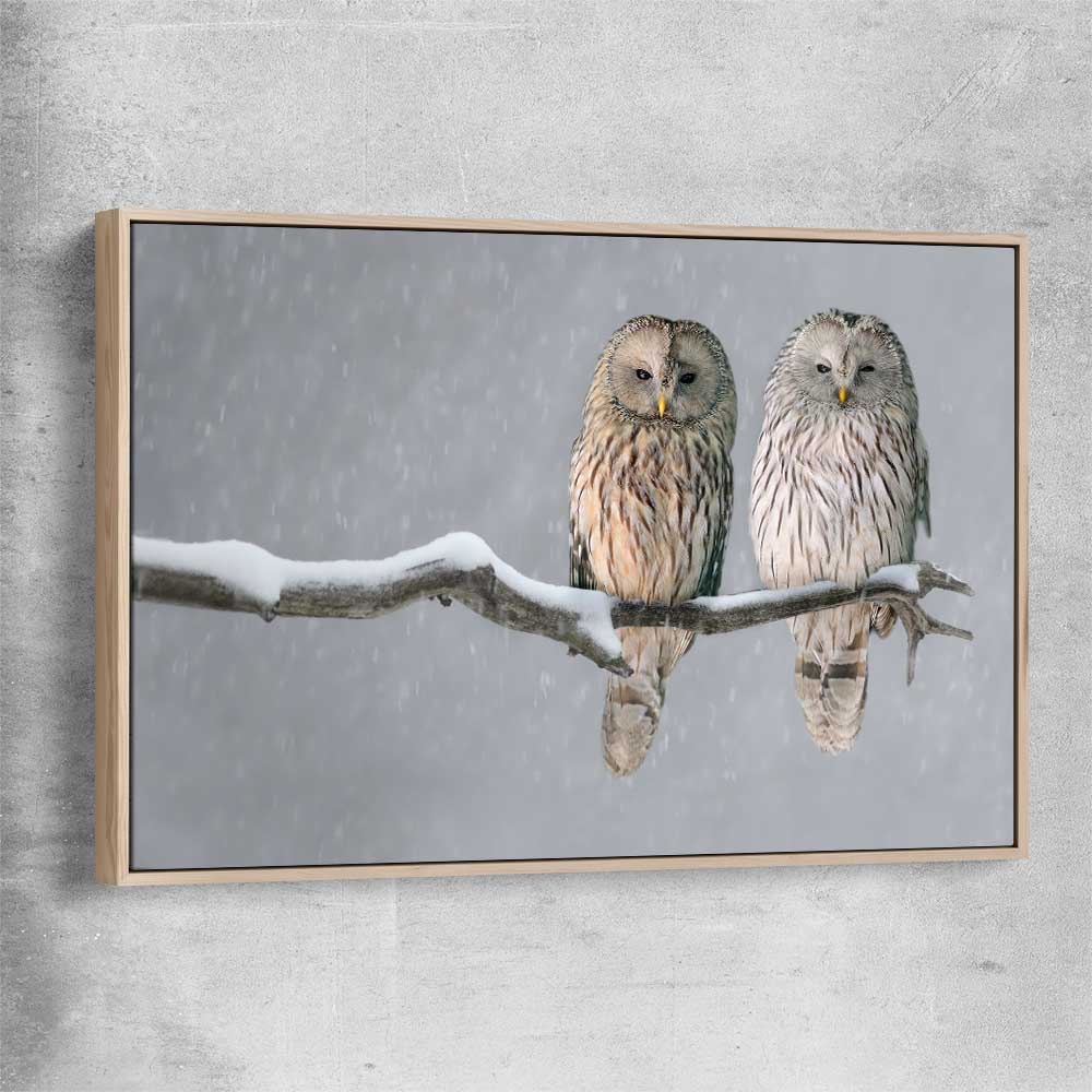 Animal wall art and canvas prints of Perched Owls with raw oak framed canvas
