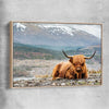 Animal wall art and canvas prints of Relaxing Highland with raw oak framed canvas