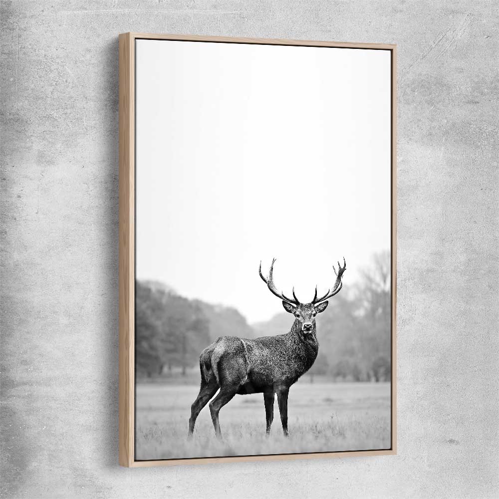 Animal wall art and canvas prints of Roaming Deer with raw oak framed canvas