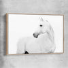 Animal wall art and canvas prints of White Horse with raw oak framed canvas