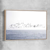 Beach and coastal wall art print of Seagull Flock with raw oak framed canvas