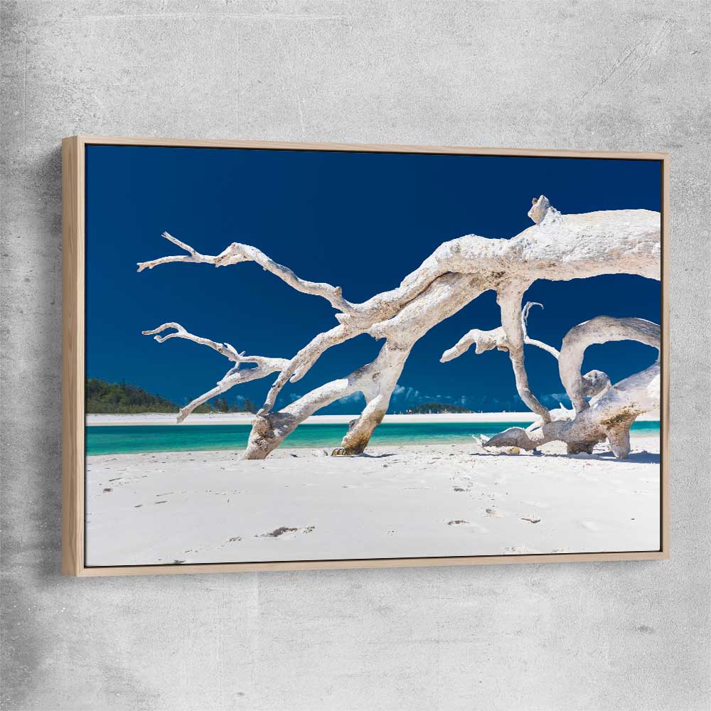 Beach and coastal wall art print of Whitsundays Driftwood with raw oak framed canvas