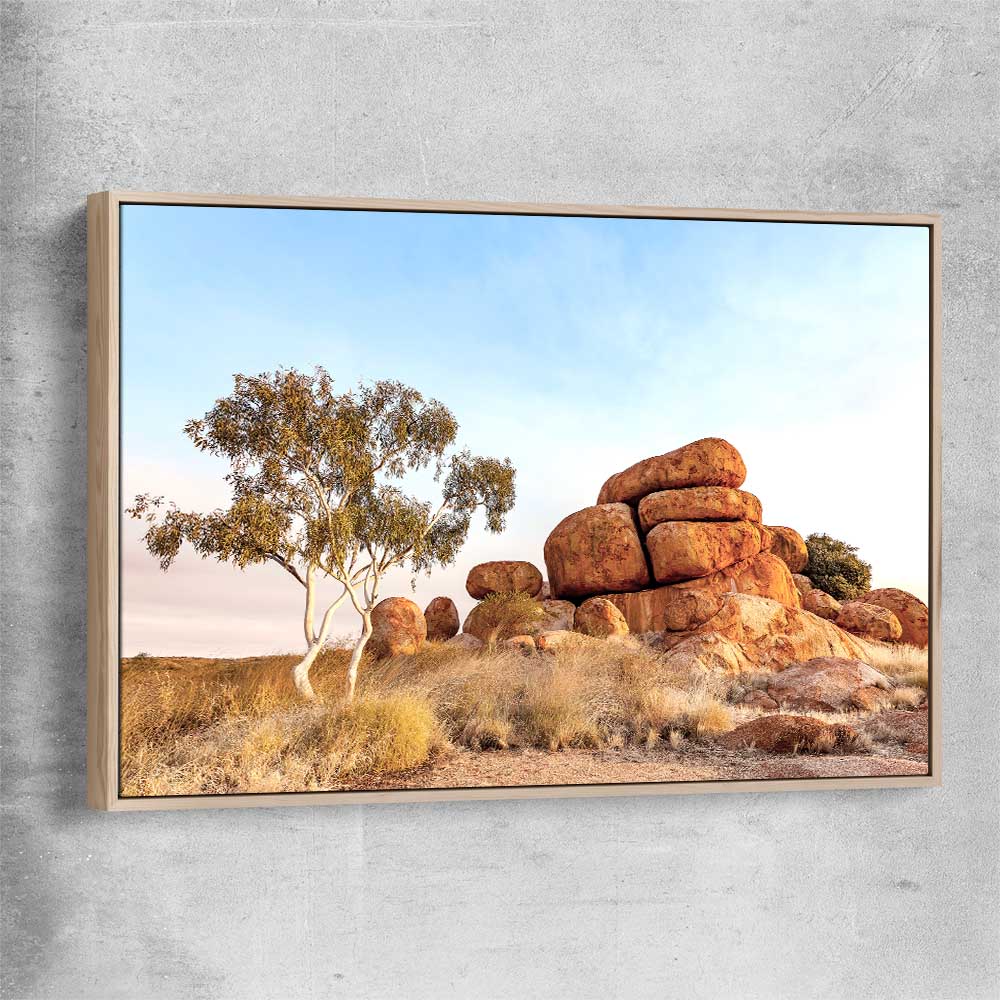 Floral print of Devils Marbles with raw oak framed canvas