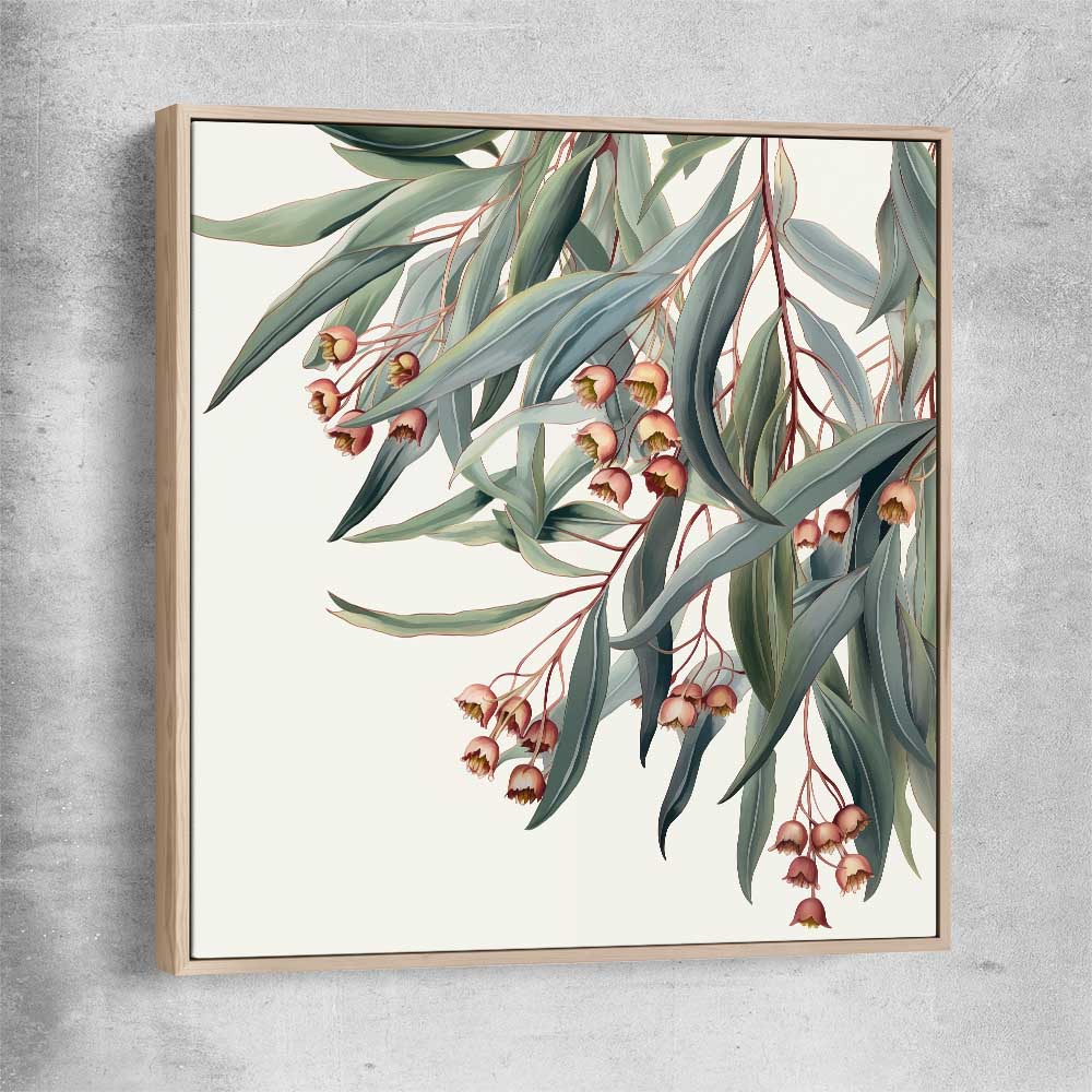 Floral print of Eucalyptus Illustration with raw oak framed canvas