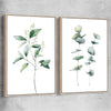 Floral print of Eucalyptus Pair One with raw oak framed canvas