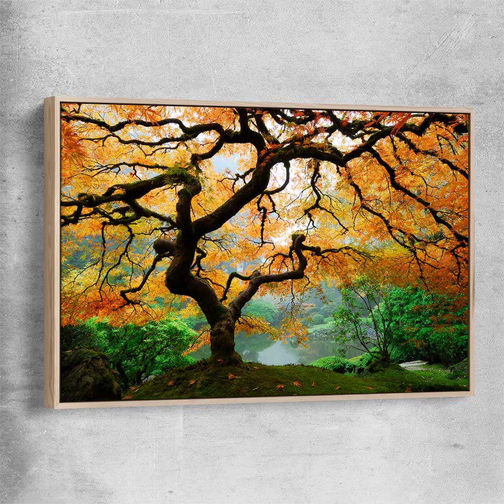 Floral print of Japanese Maple Tree with raw oak framed canvas