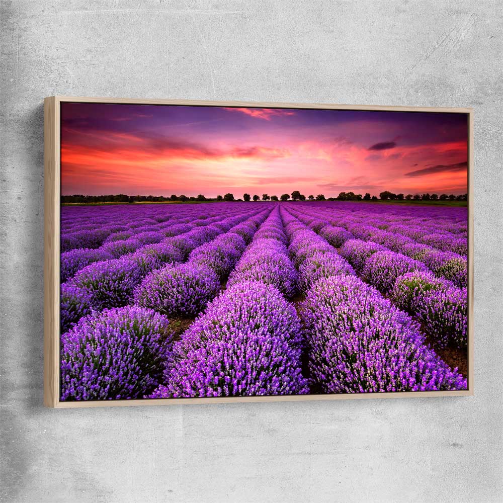 Floral print of Lavender Field with raw oak framed canvas