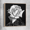 Floral print of Monochrome Rose with raw oak framed canvas
