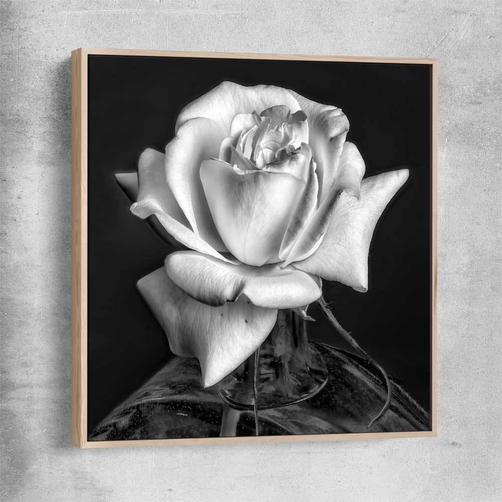 Floral print of Monochrome Rose with raw oak framed canvas