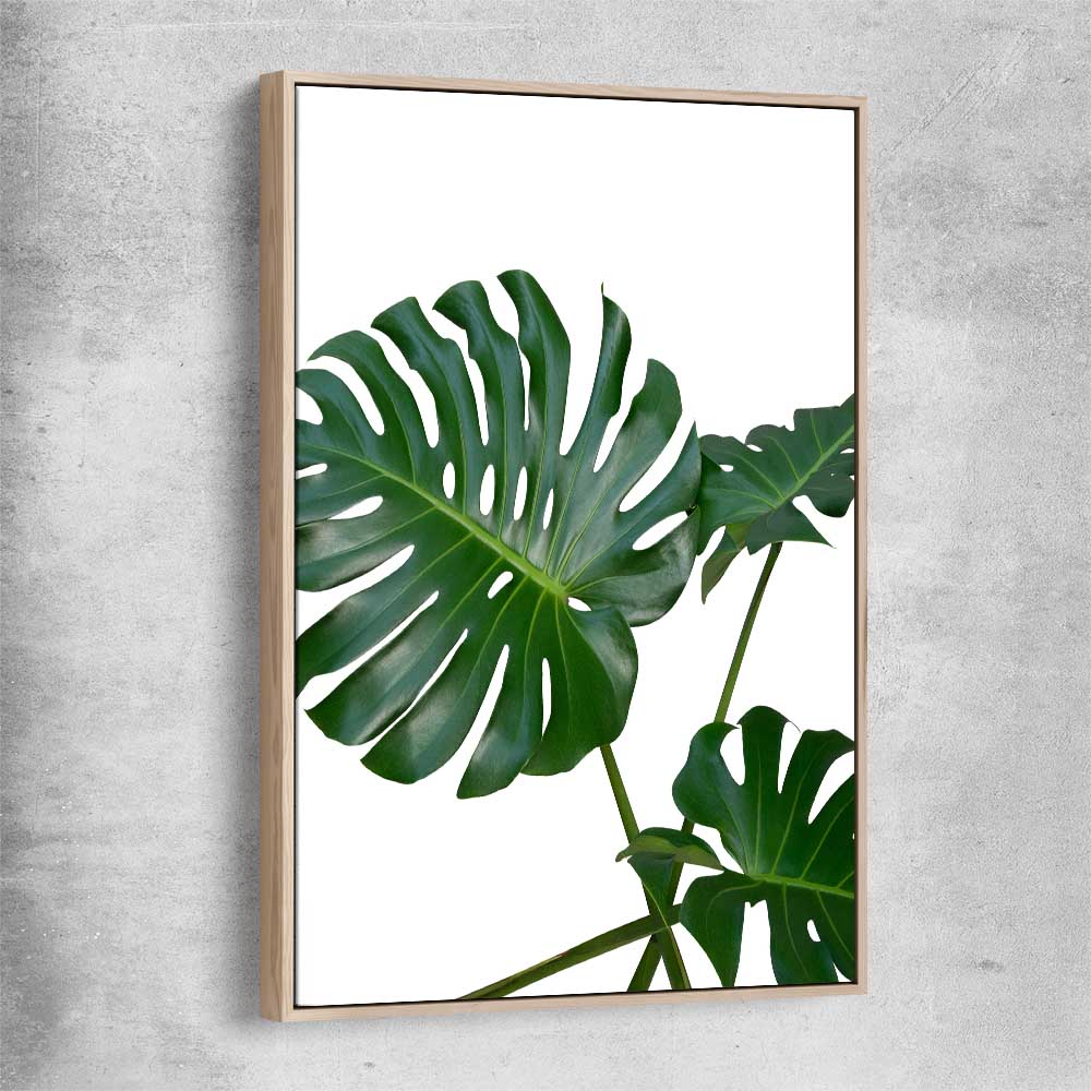 Floral print of Monstera Leaf Two with raw oak framed canvas