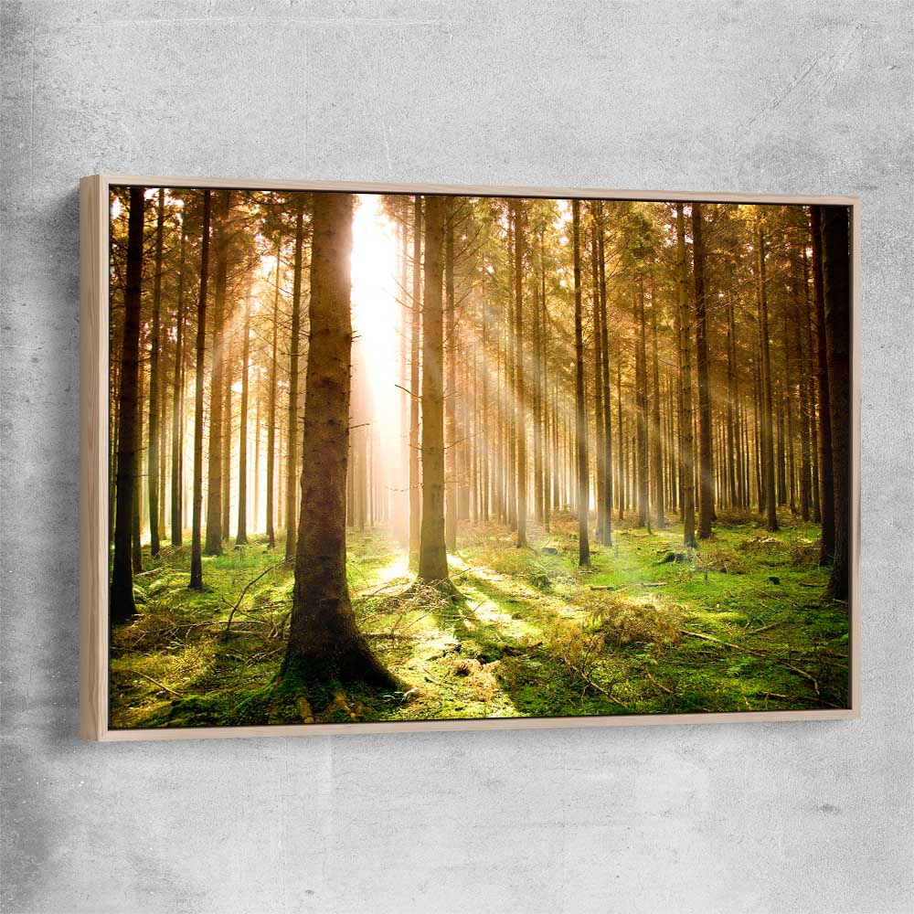 Floral print of Pine Forest Sunrise with raw oak framed canvas