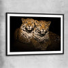 Animal wall art and canvas prints of Calm Jaguar Couple with black glass front frame