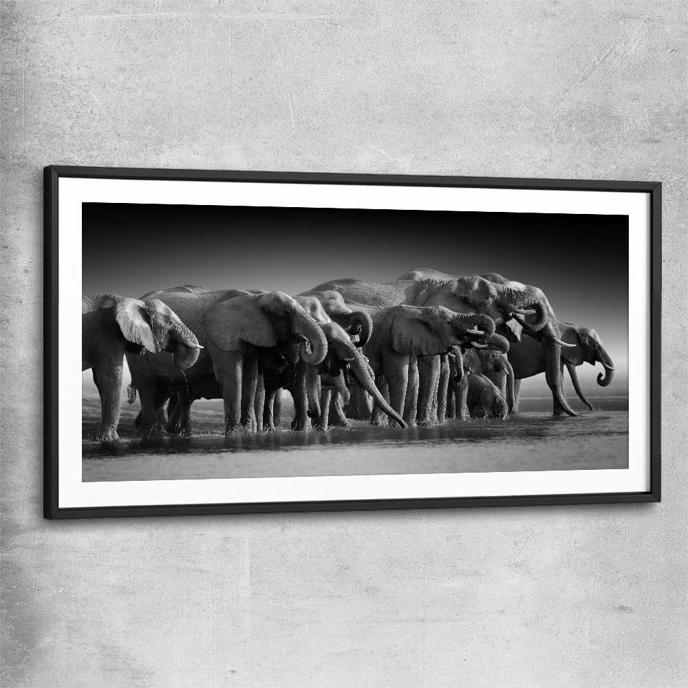 Animal wall art and canvas prints of Elephant Herd with black glass front frame