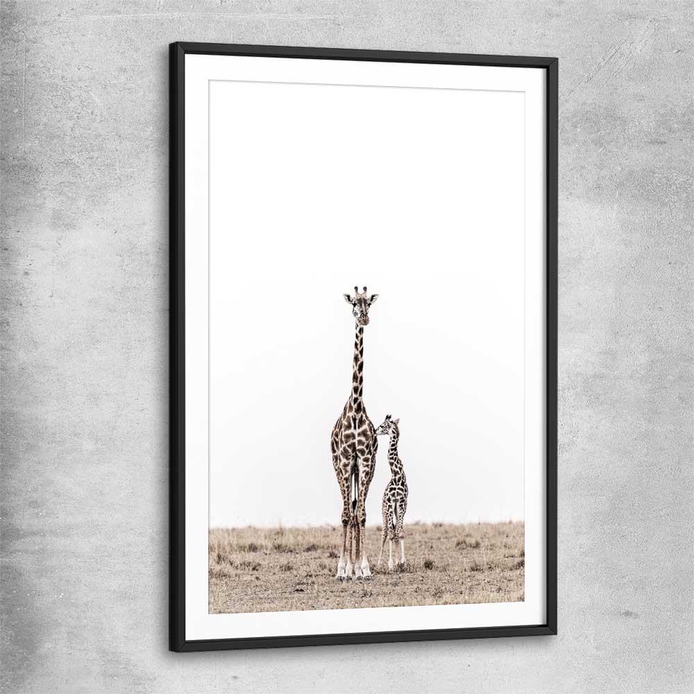 Animal wall art and canvas prints of Giraffe Affection with black glass front frame