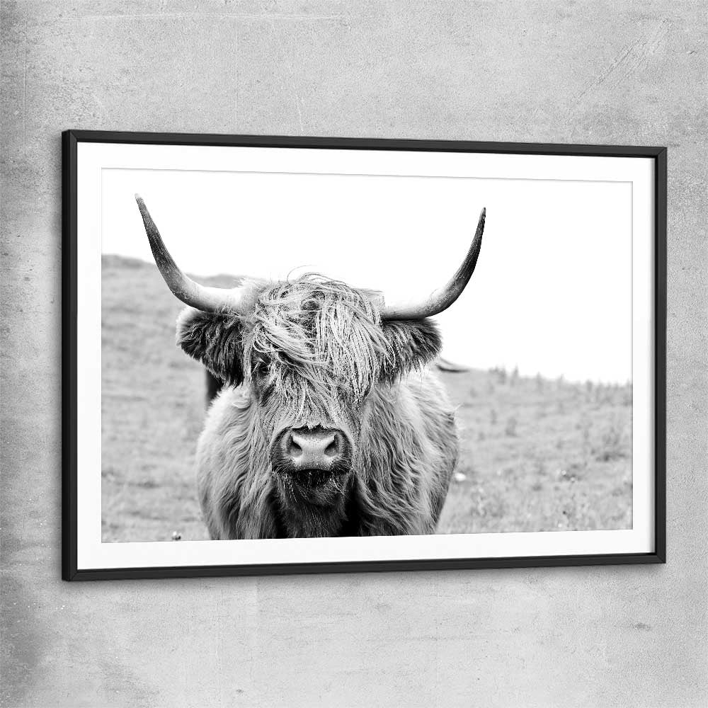 Animal wall art and canvas prints of Highland Hills with black glass front frame