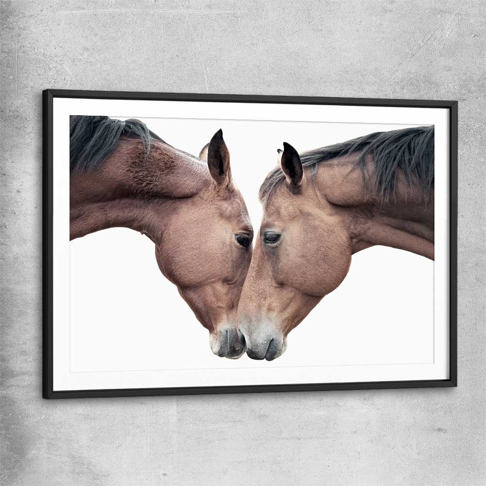 Animal wall art and canvas prints of Horse Affection with black glass front frame
