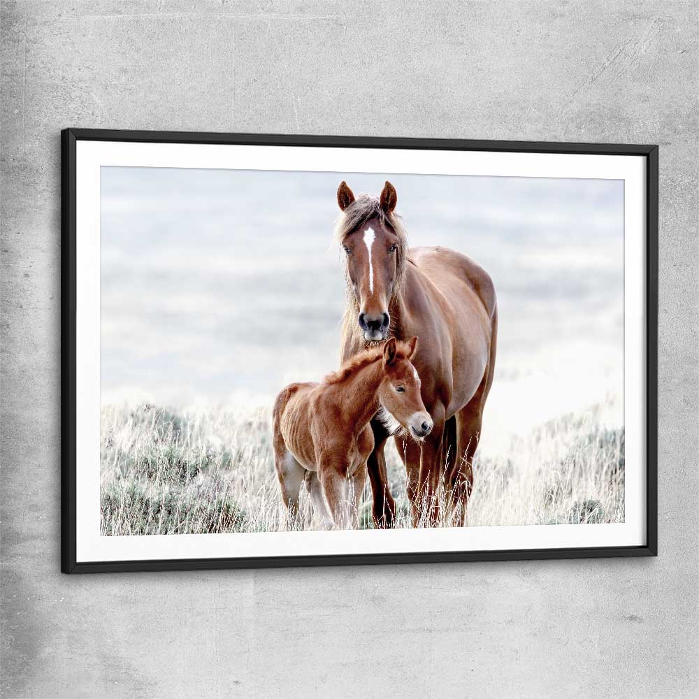 Animal wall art and canvas prints of Horse Love with black glass front frame