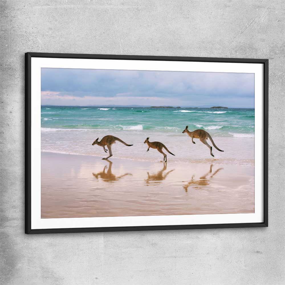 Animal wall art and canvas prints of Kangaroo Family with black glass front frame