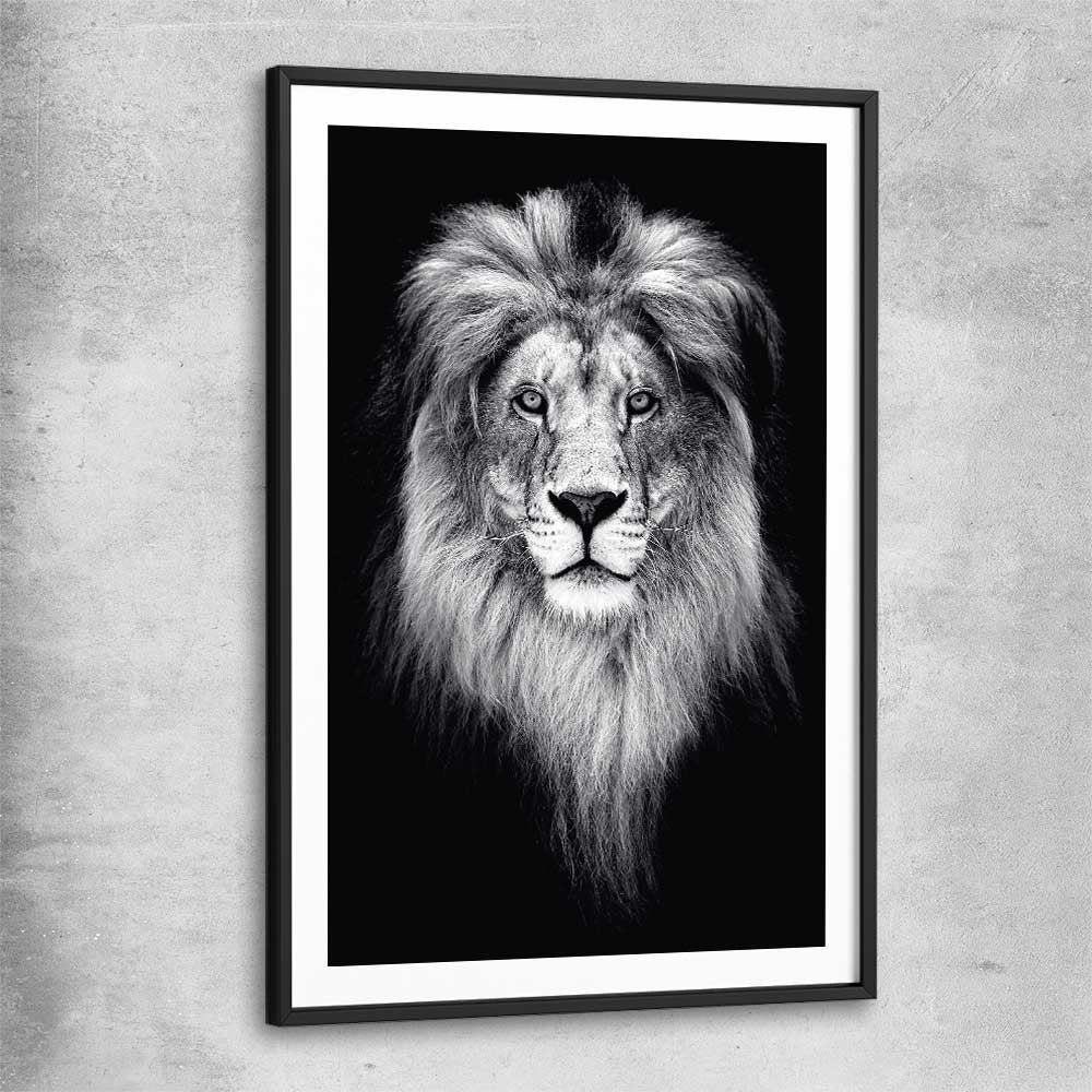 Animal wall art and canvas prints of Lion Gaze with black glass front frame