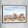 Animal wall art and canvas prints of Llamas in Peru with black glass front frame