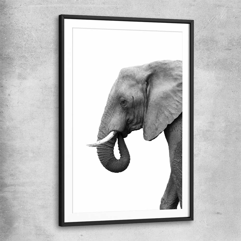 Animal wall art and canvas prints of Lone Elephant with black glass front frame