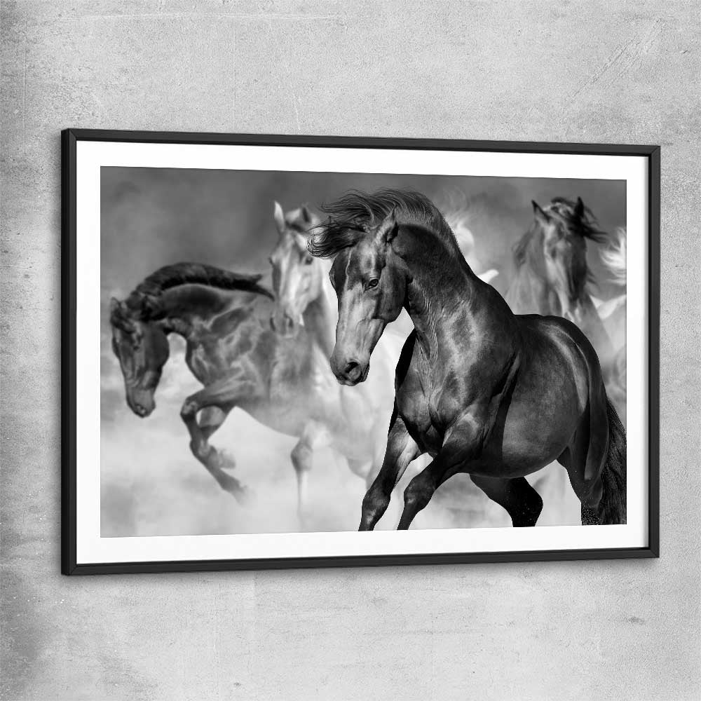 Animal wall art and canvas prints of Majestic Horse with black glass front frame
