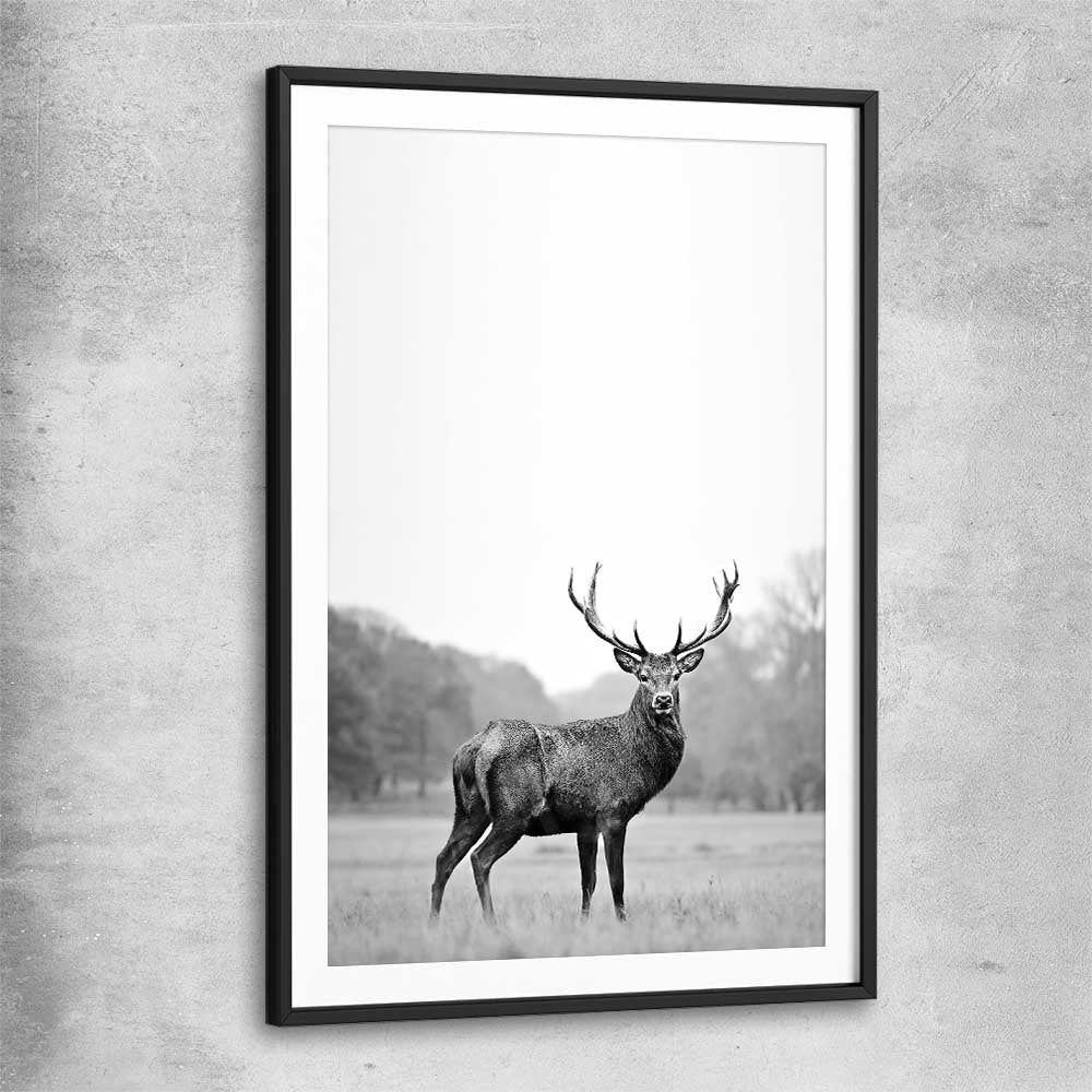 Animal wall art and canvas prints of Roaming Deer with black glass front frame