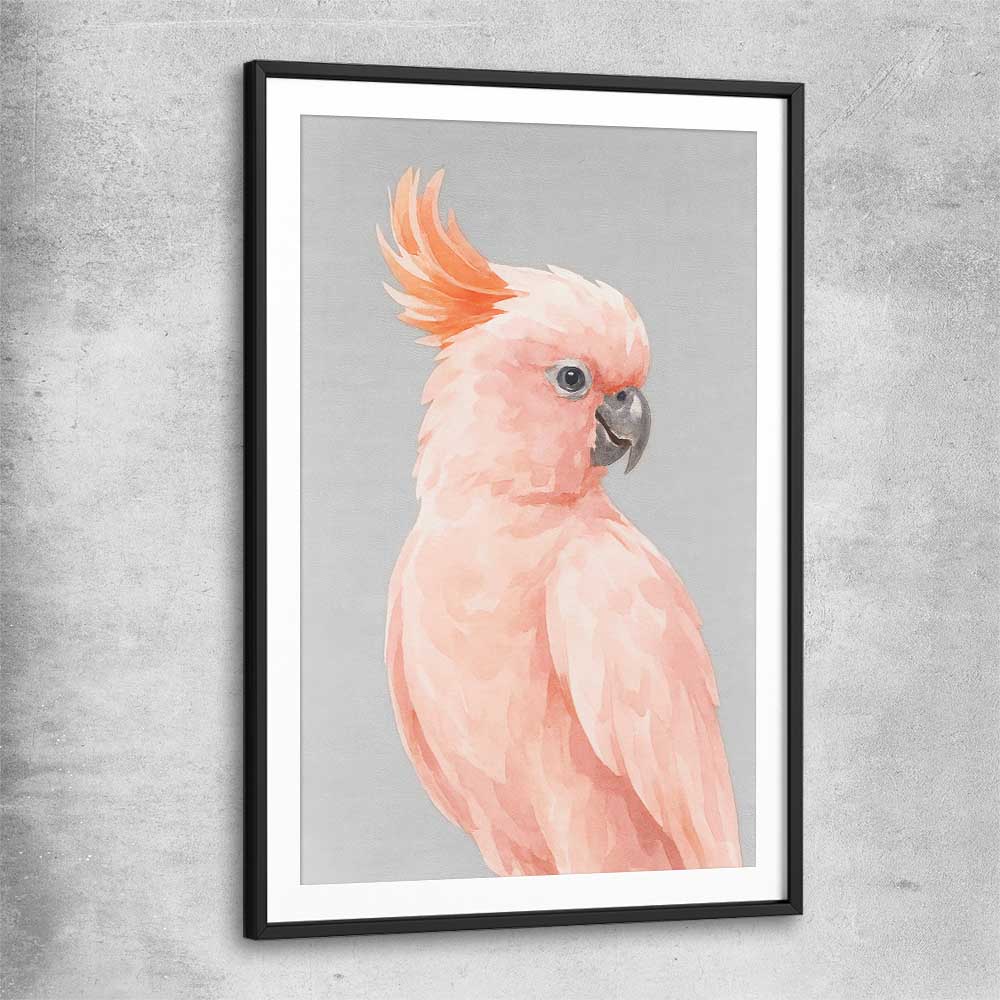 Animal wall art and canvas prints of Salmon-crested Cockatoo with black glass front frame