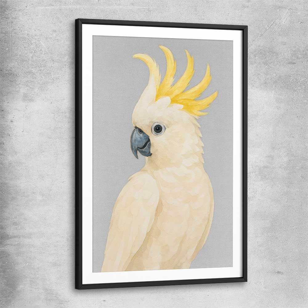 Animal wall art and canvas prints of Sulphur-crested Cockatoo with black glass front frame