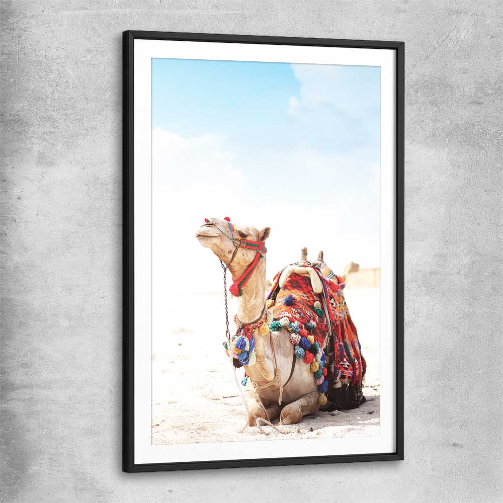 Animal wall art and canvas prints of Vibrant Camel with black glass front frame
