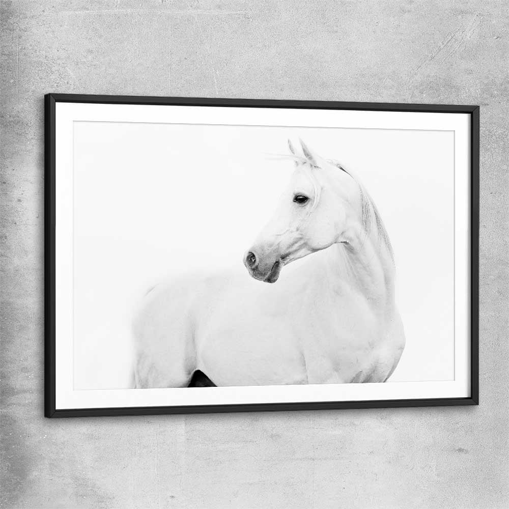 Animal wall art and canvas prints of White Horse with black glass front frame