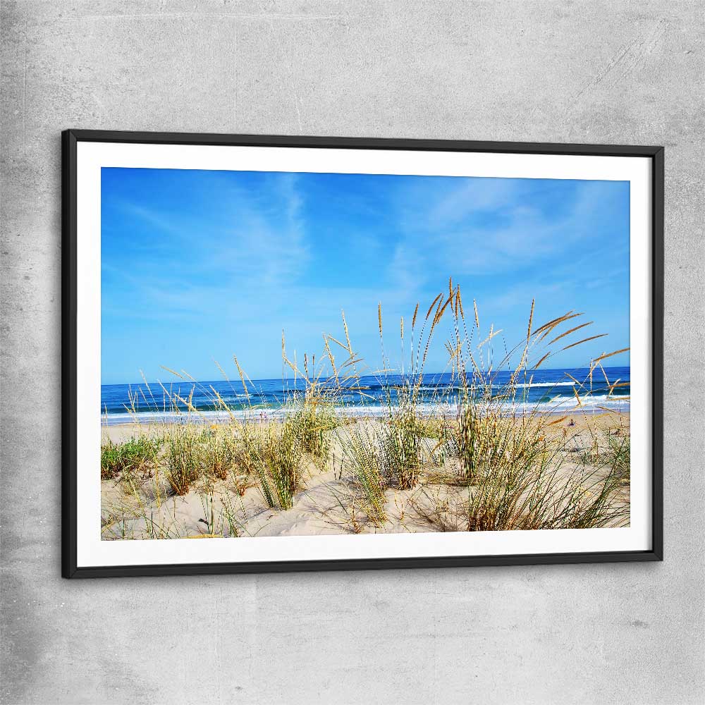 Beach and coastal wall art print of Algarve Dune Flora with black glass front frame