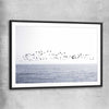Beach and coastal wall art print of Seagull Flock with black glass front frame