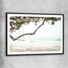 Beach and coastal wall art print of Tropical Beach with black glass front frame